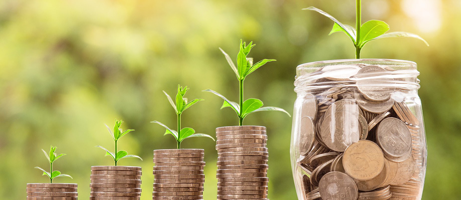 Springs Coin Plants  image slide